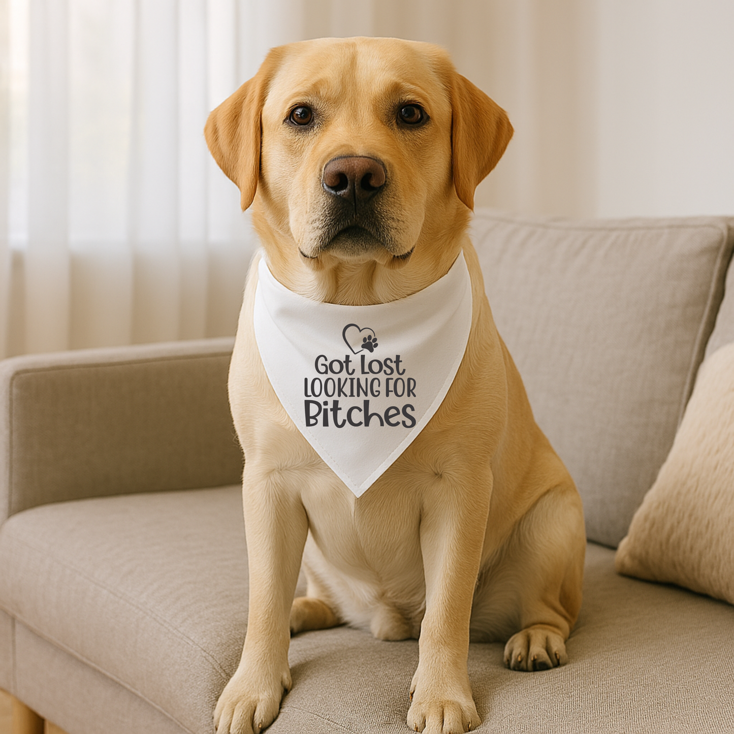 Bougie Dog Bandanas - Got Lost 🐾✨