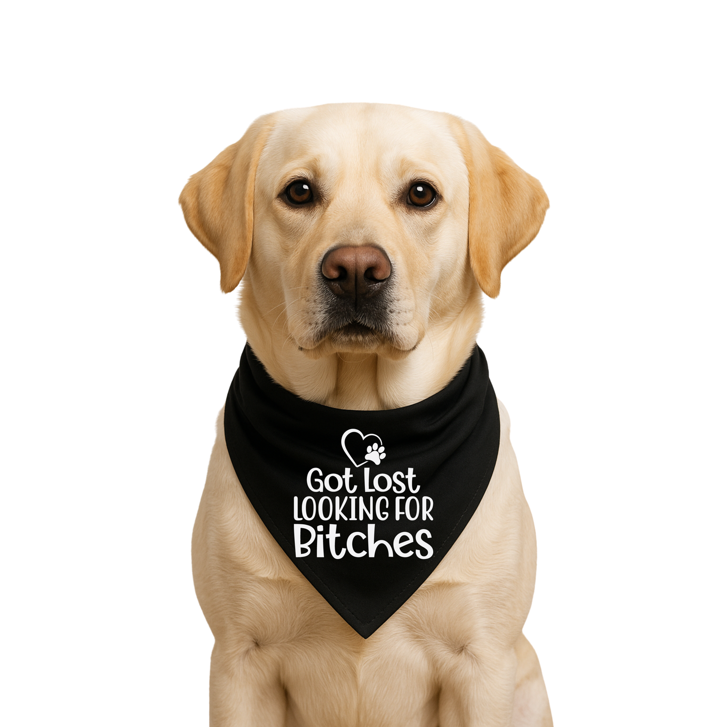 Bougie Dog Bandanas - Got Lost 🐾✨
