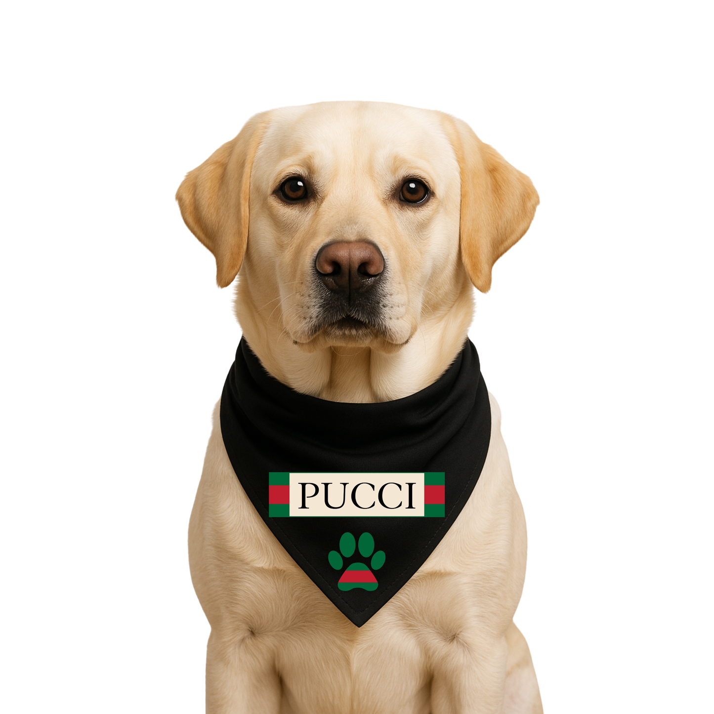 Bougie Dog Bandanas - PUCCI 🐾✨