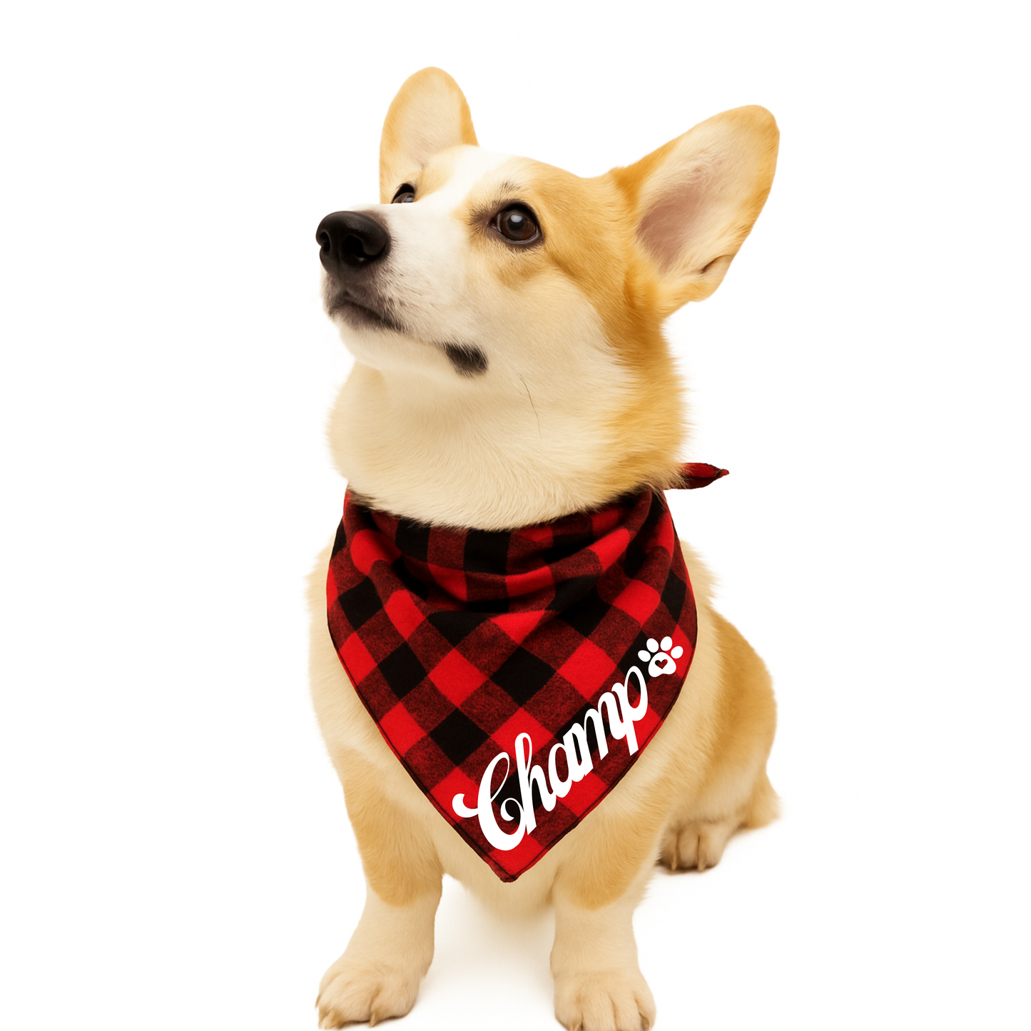 ๐พ Custom Buffalo Plaid Dog Bandanas ๐