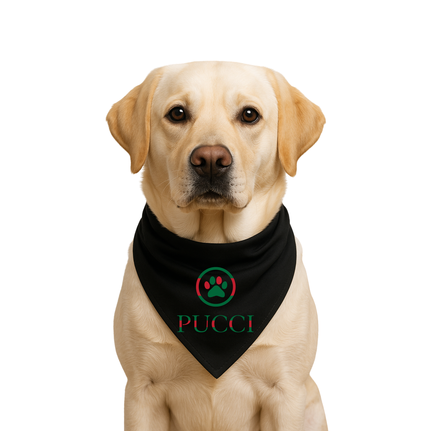 Bougie Dog Bandanas - PUCCI 🐾✨