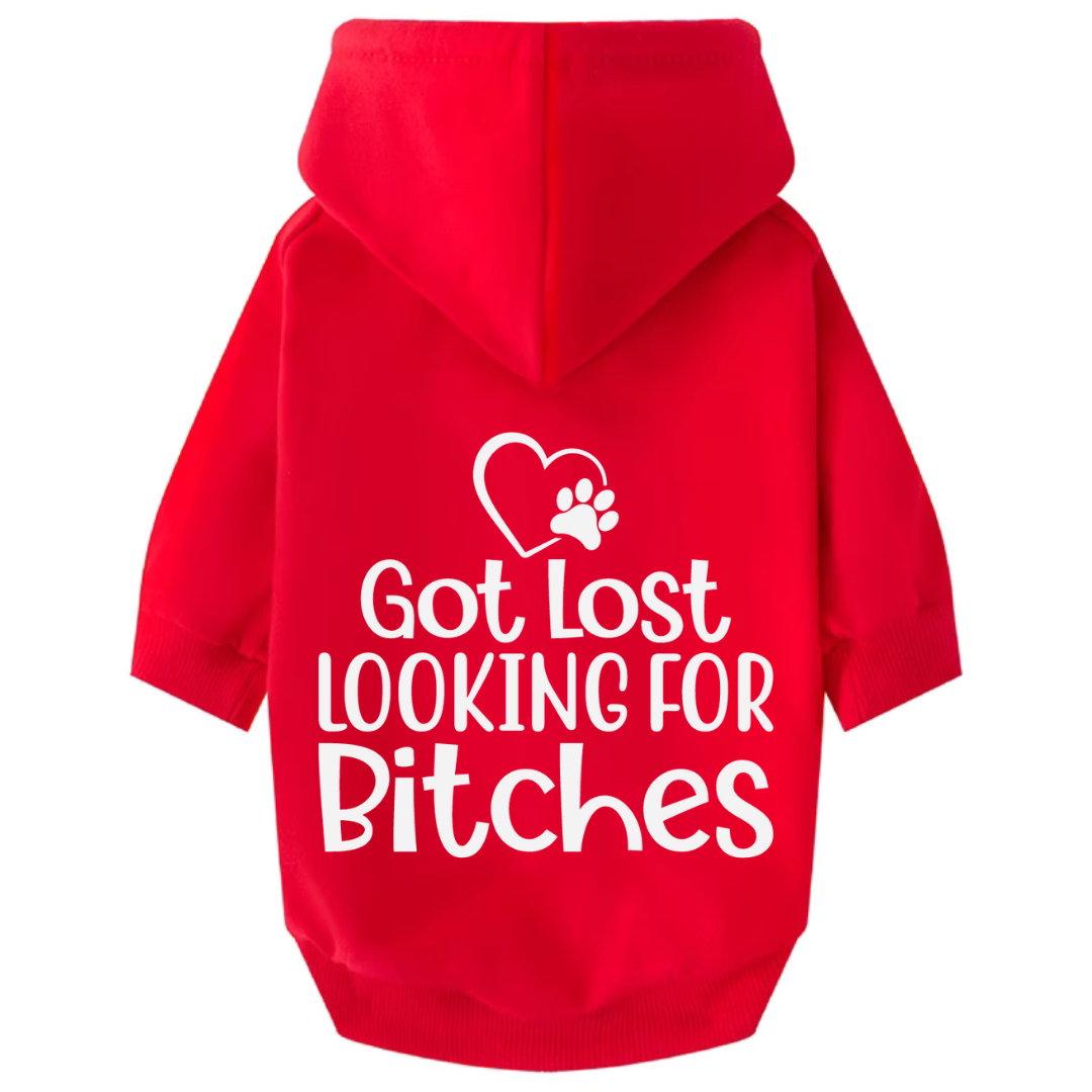 Dog Hoodie - Got Lost